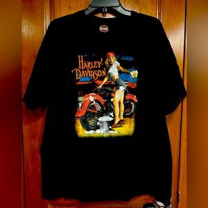 Harley Davidson XL Indianapolis Indiana, bike wash booty shorts red stilettos